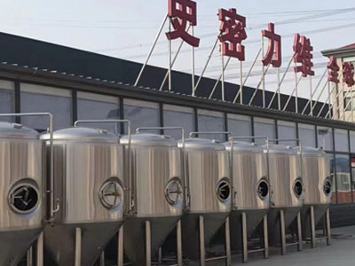 来凤精酿啤酒设备厂—市场规模与跨界新需求